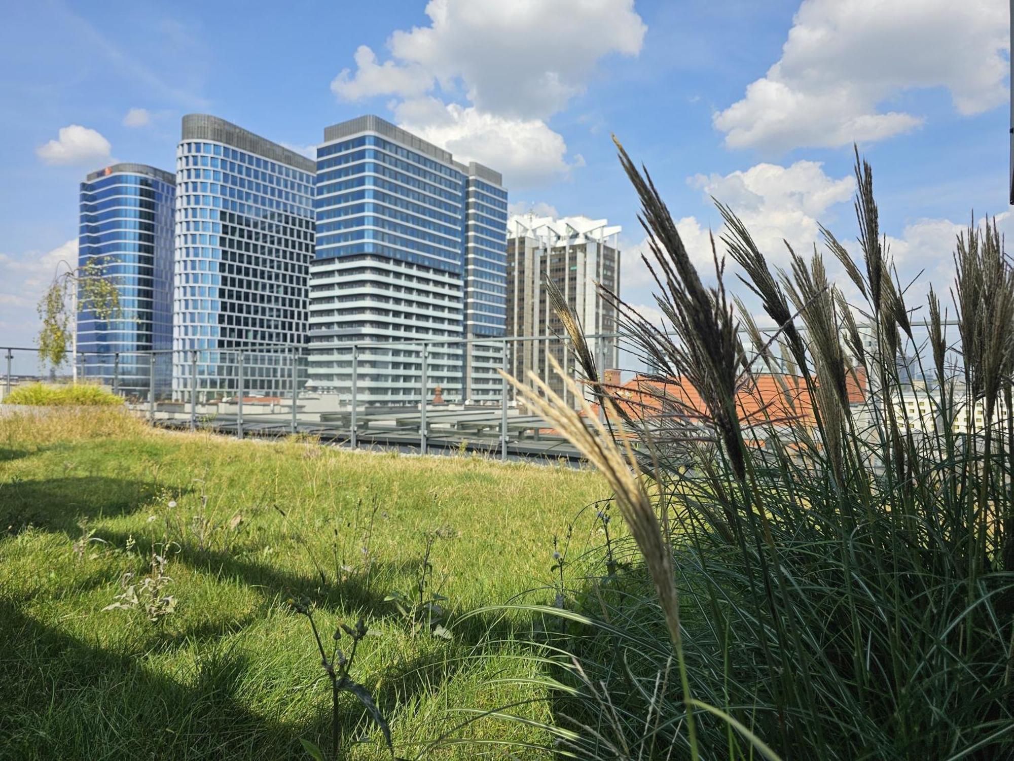 קטוביץ Urban Apartments Premium, Opolska 10 No 77A, Free Garage, Self Check-In מראה חיצוני תמונה